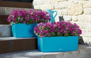 A_TRD_BLC50_2_kblau_Senetti_magenta.jpg