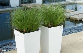 A_TRD_SQ30_2_w_Carex.jpg