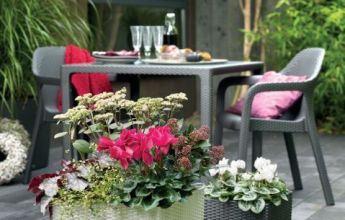A_SQC50_30_CTG_w_BLOOMS_Herbst_2016_2.jpg