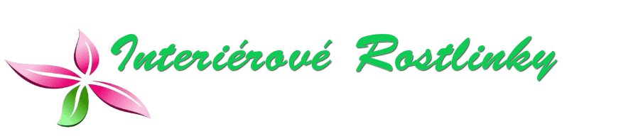 Interiérové rostlinky
